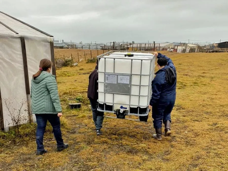 photo_5112146066458914174_y