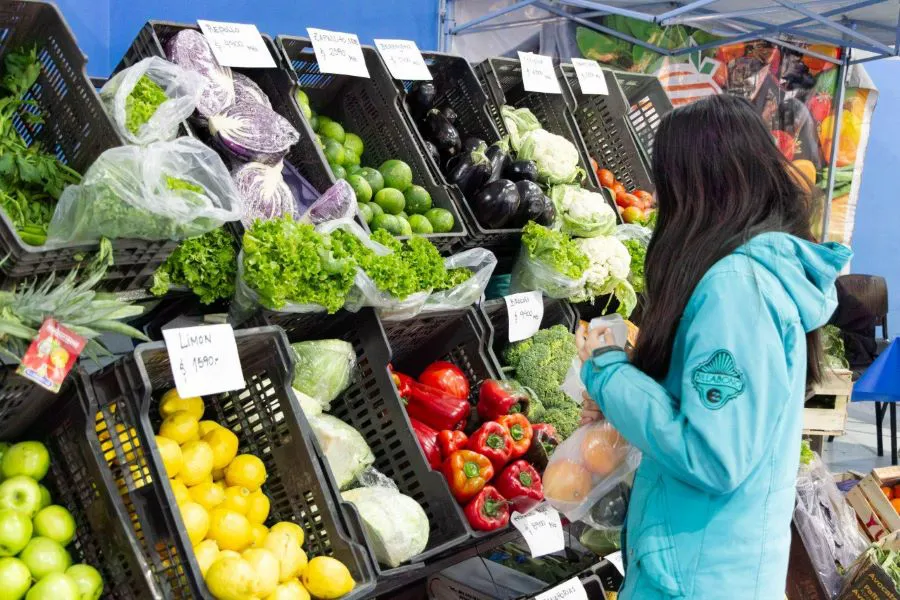 photo_5062083631303995040_y