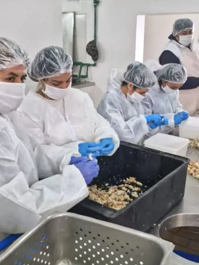 photo_4918330006460018083_y