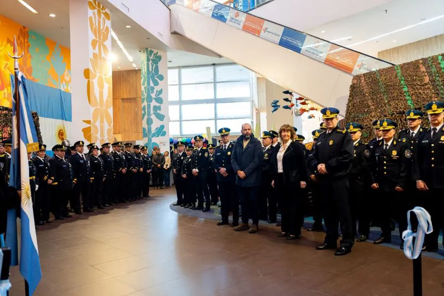 photo_4965591431448211207_y