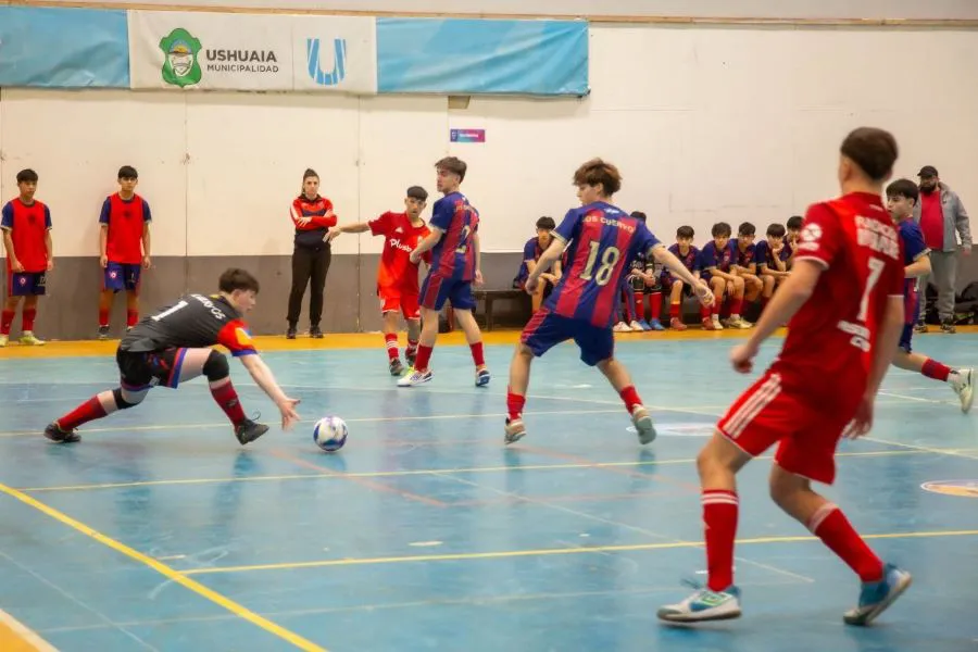 photo_5134105598588202614_y