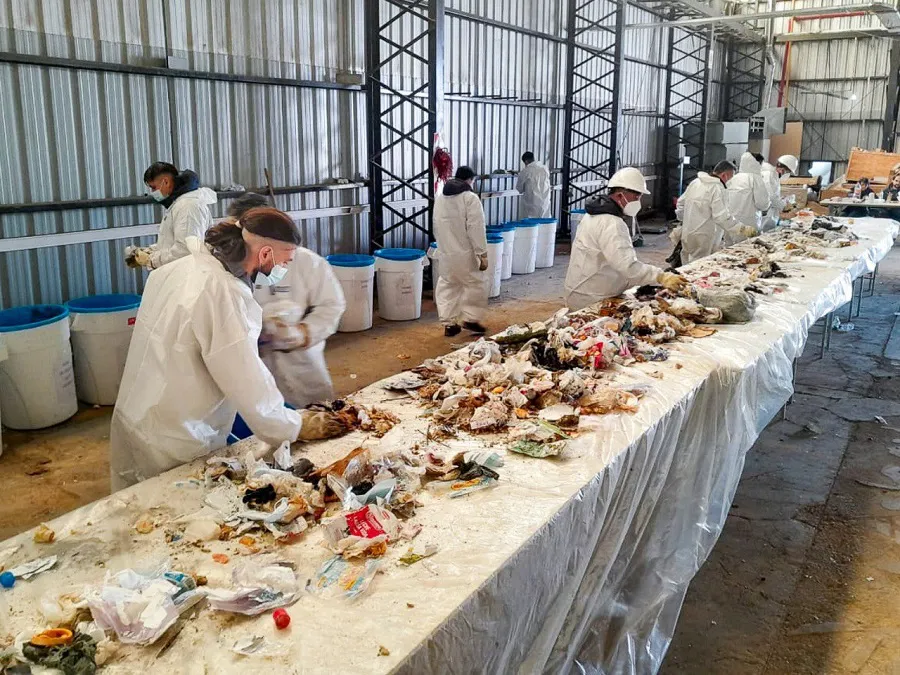 photo_5120791363179360203_y