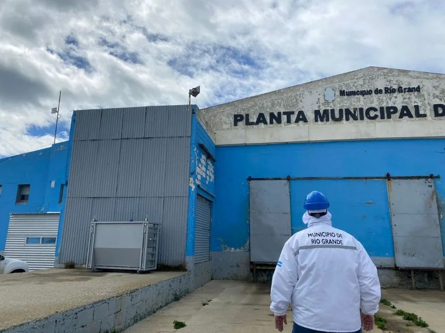 Garantizan la seguridad de la carne porcina