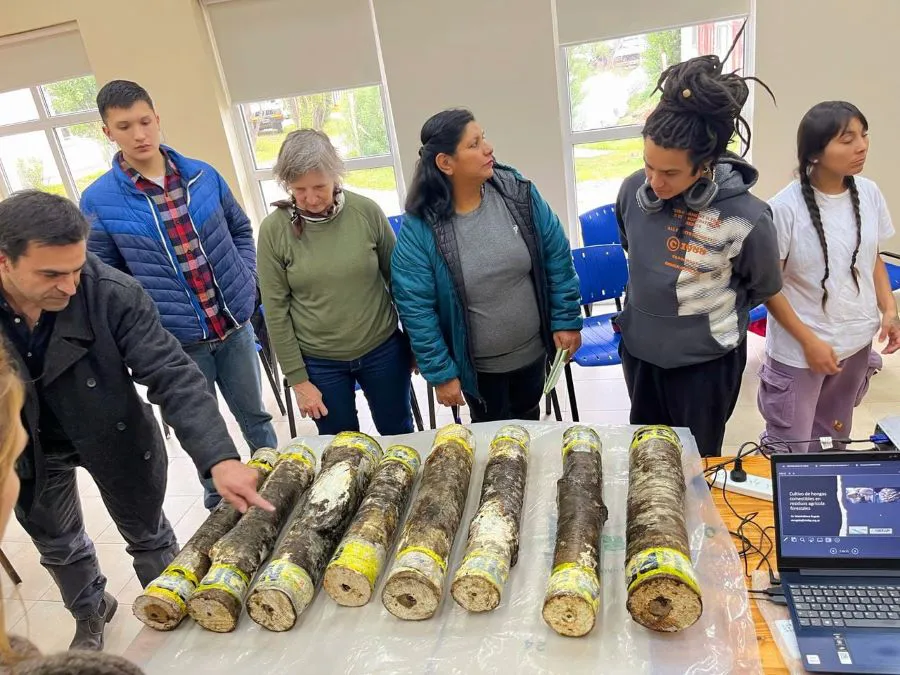 photo_5066808048084954766_y