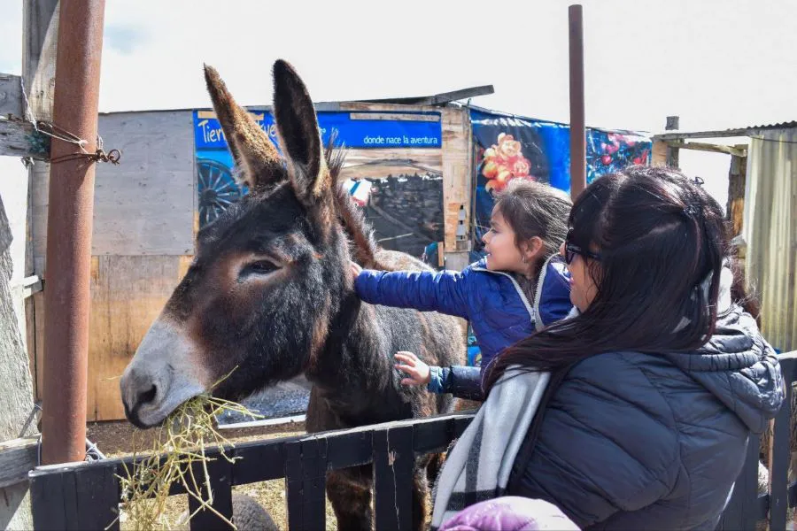 photo_4942991137446759276_y