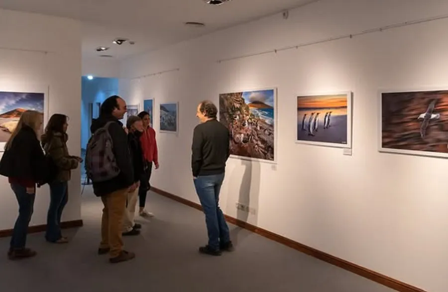 WhatsApp Image 2025-03-29 at 16.29.16