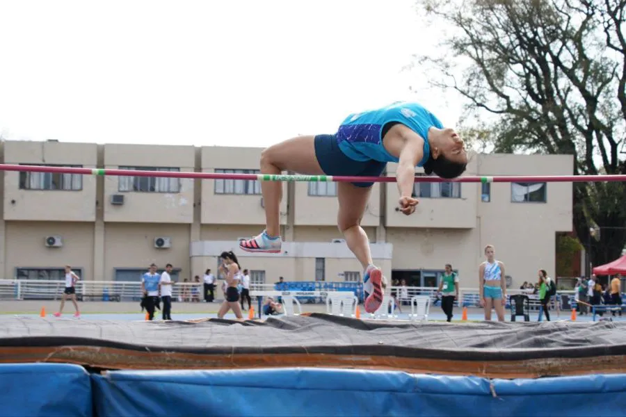 photo_5060135236570033931_y