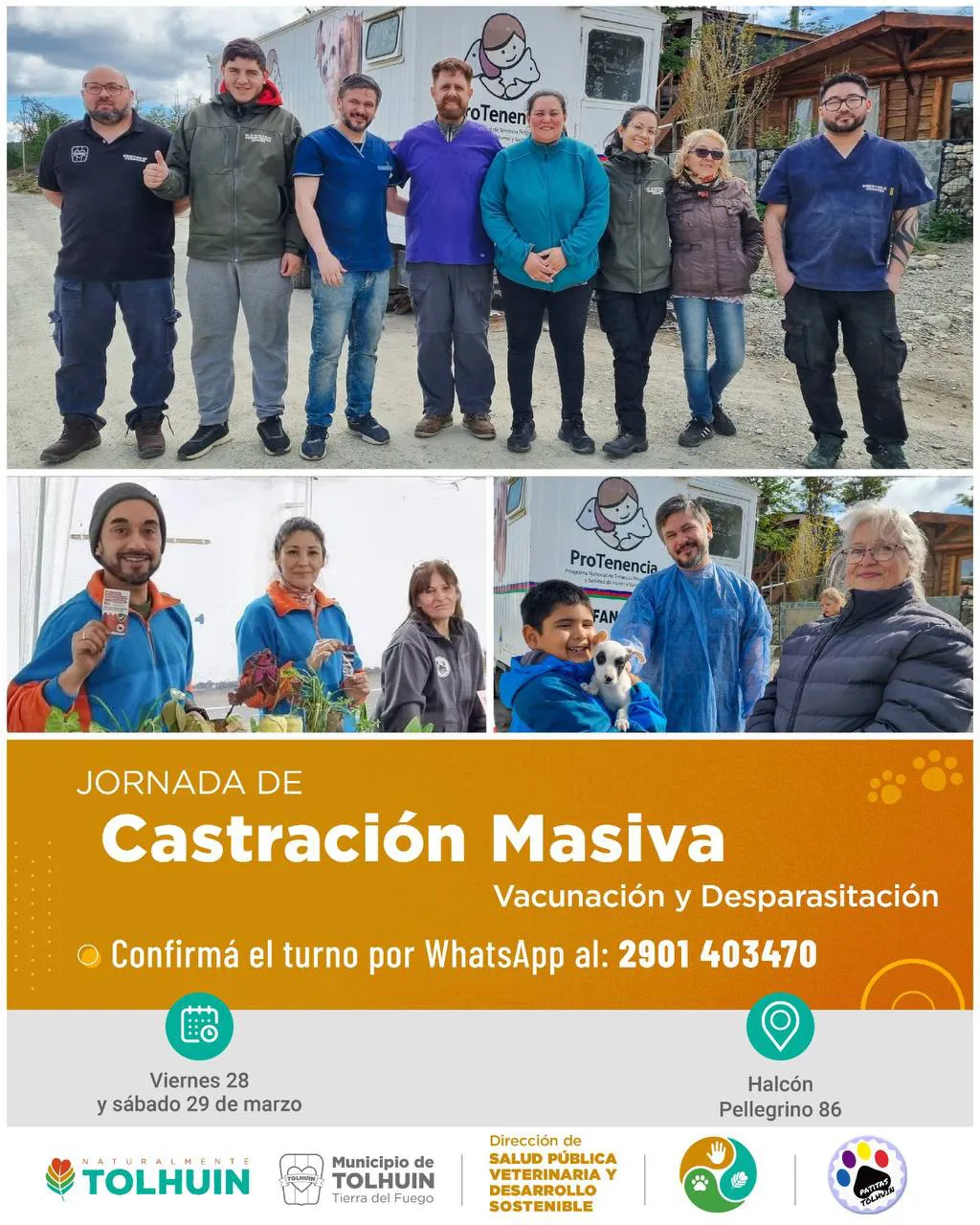 photo_5100871141651754419_y