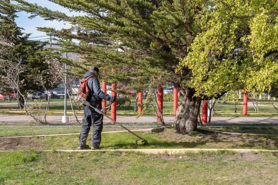 photo_5102834521530370895_y