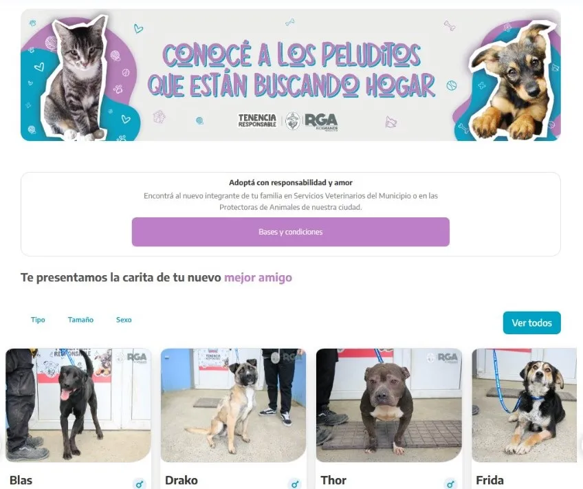 Habilitan un portal web para la adopción de mascotas en Río Grande  02