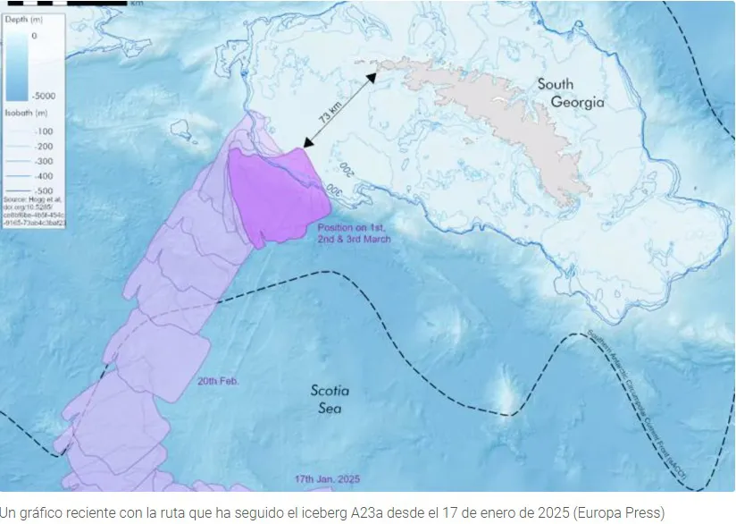 WhatsApp Image 2025-03-05 at 10.14.55