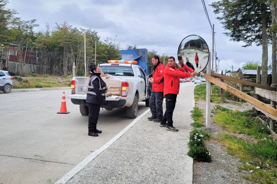 photo_5046320783500095356_y