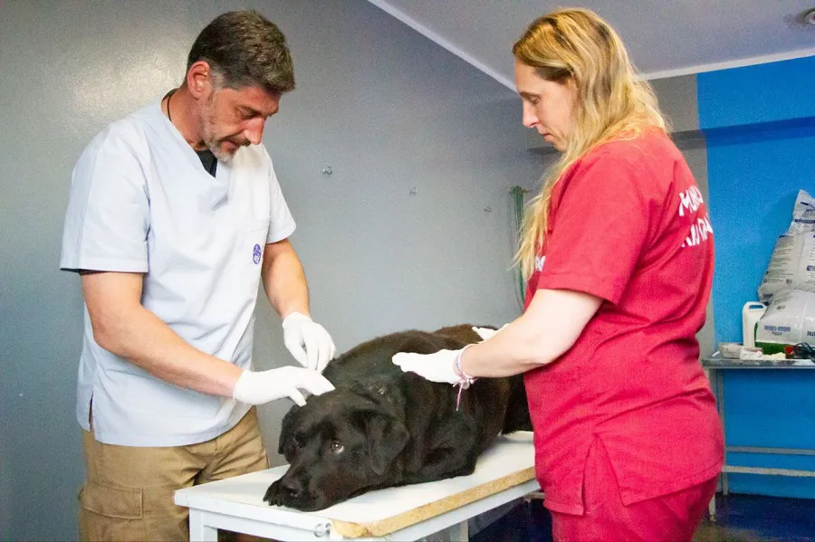 photo_5125098042851175905_y