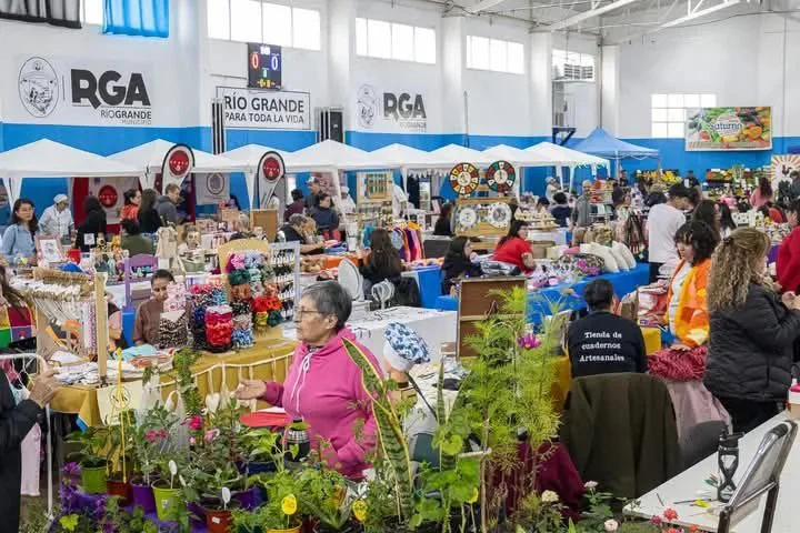 Este domingo se presentará ‘El Mercado en tu Barrio’ en el polideportivo Margalot