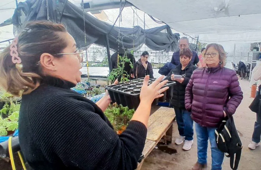 photo_4969949788166532670_y