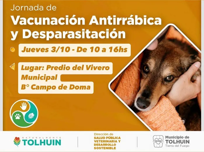 photo_5181538586045034027_y