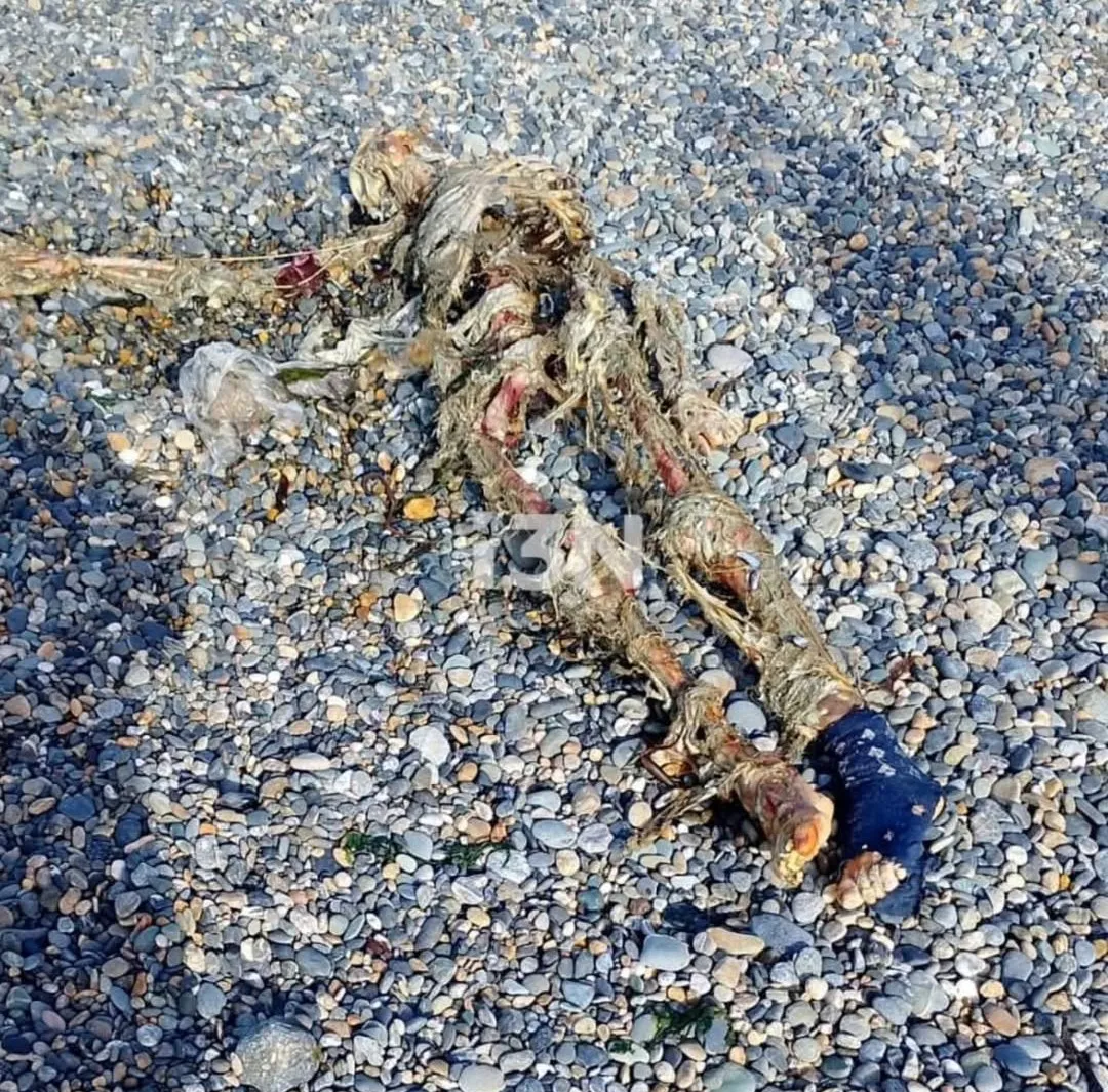 Screenshot_20251119_224155_Instagram