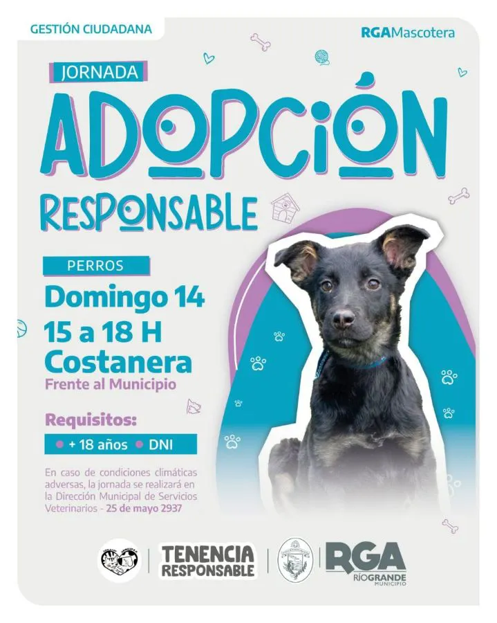 photo_5035532087649307482_y