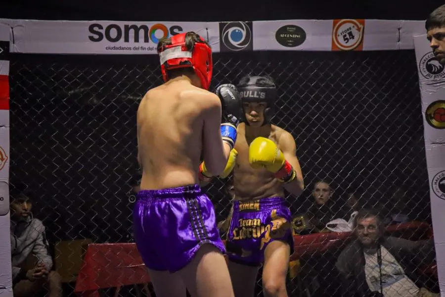 photo_5005870347714670847_y