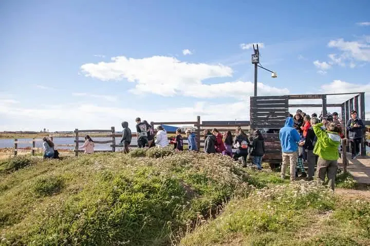 WhatsApp Image 2026-02-03 at 18.04.32