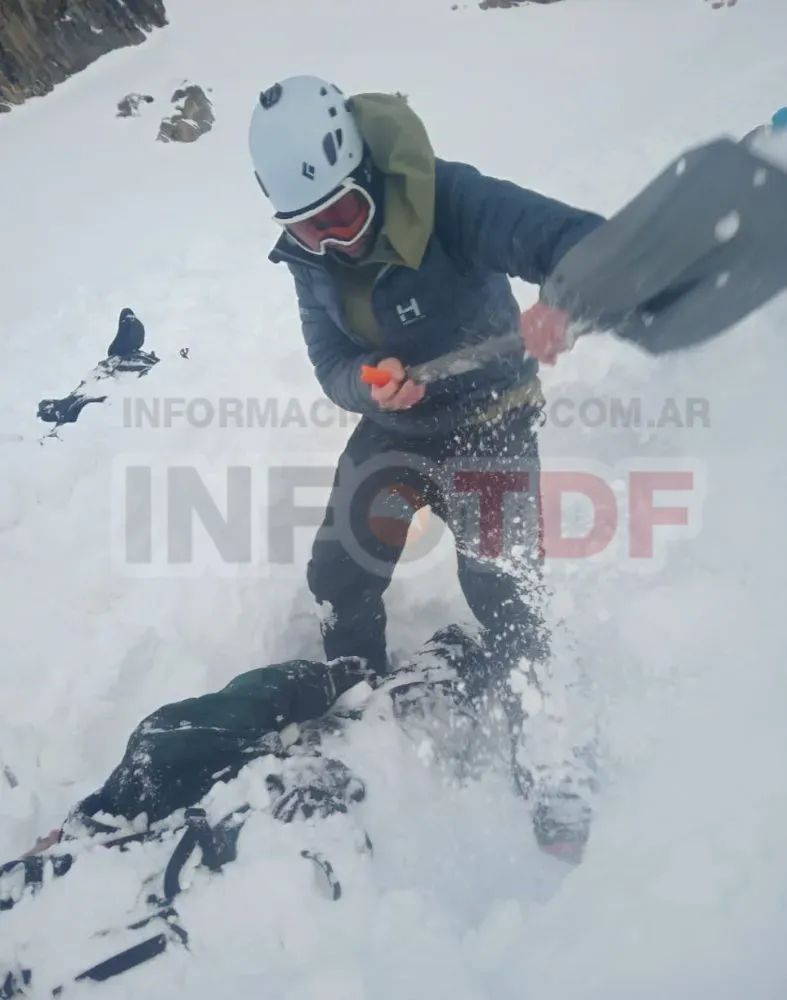 Imagen de WhatsApp 2025-06-29 a las 18.51