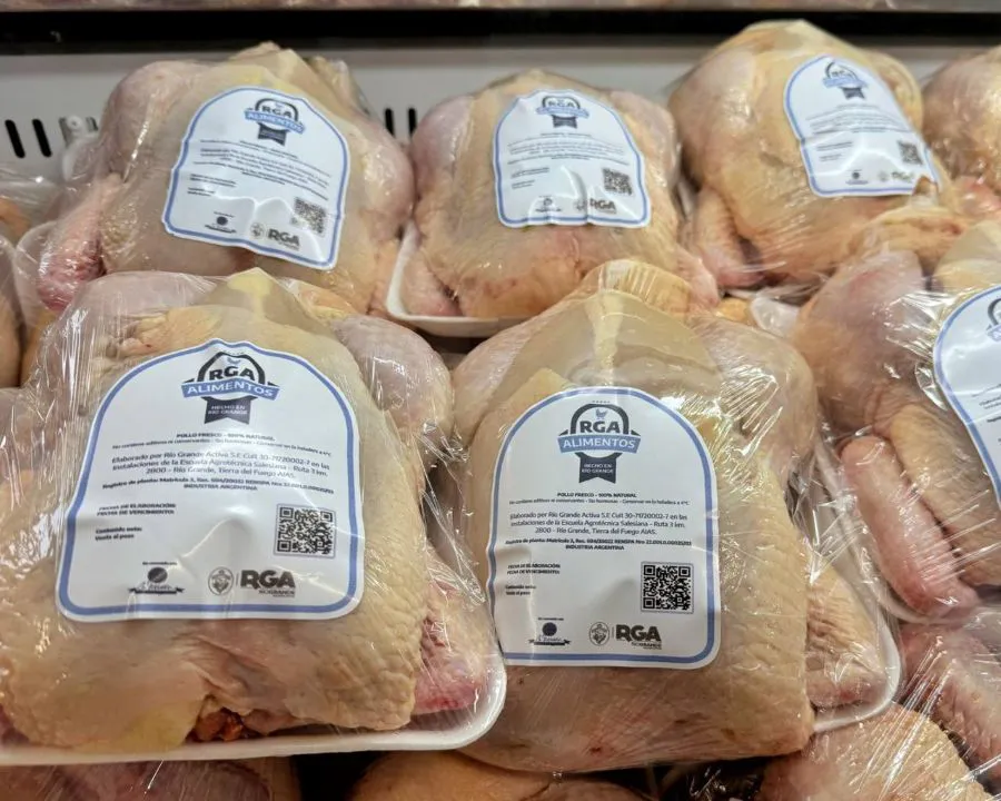 photo_4987960986925380104_y