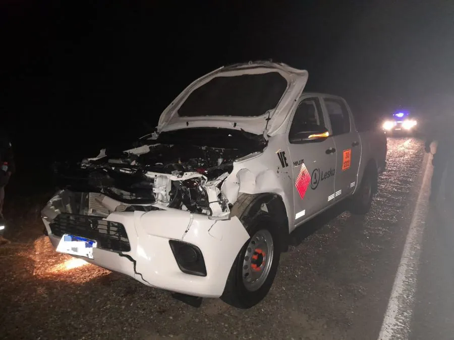 WhatsApp Image 2025-03-26 at 10.38.09