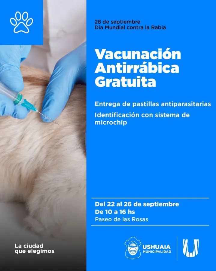 photo_5073682164720798525_y