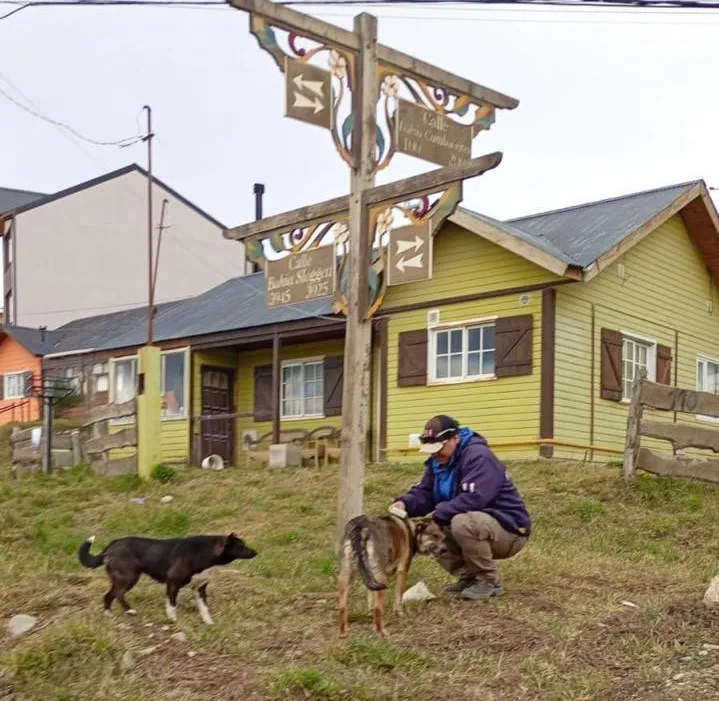 photo_5082783604147948467_y