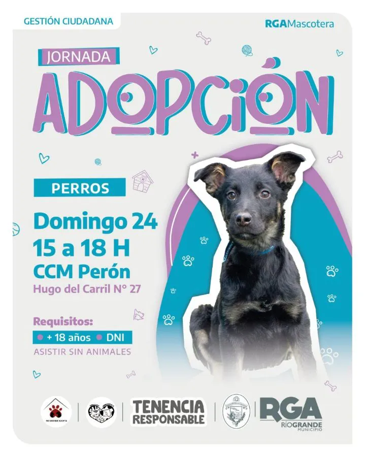 photo_4988060664526384516_y