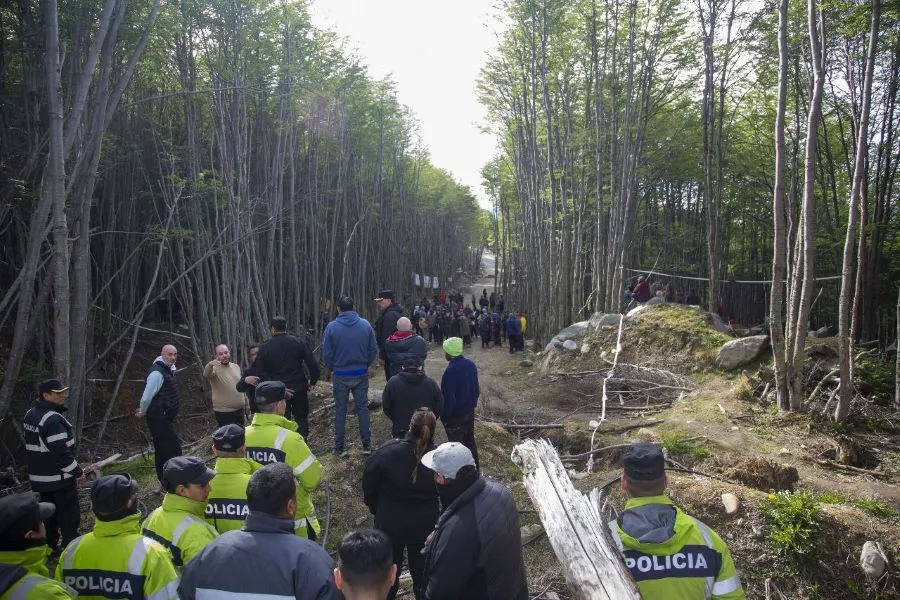 photo_5170416763940834164_y