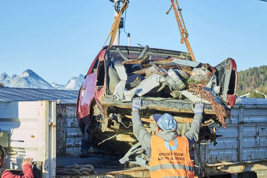 photo_4900470862428352184_y