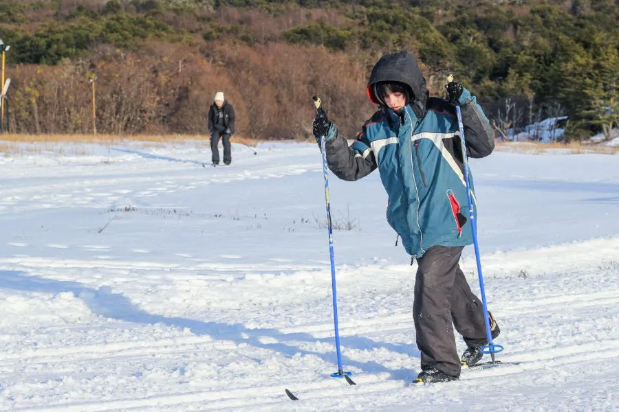 photo_4958494723841044588_y