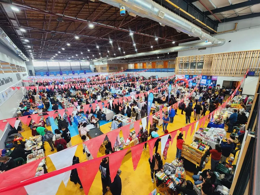 photo_5055581643523338044_y