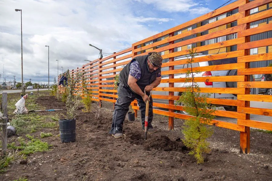 photo_5046462792302529349_y