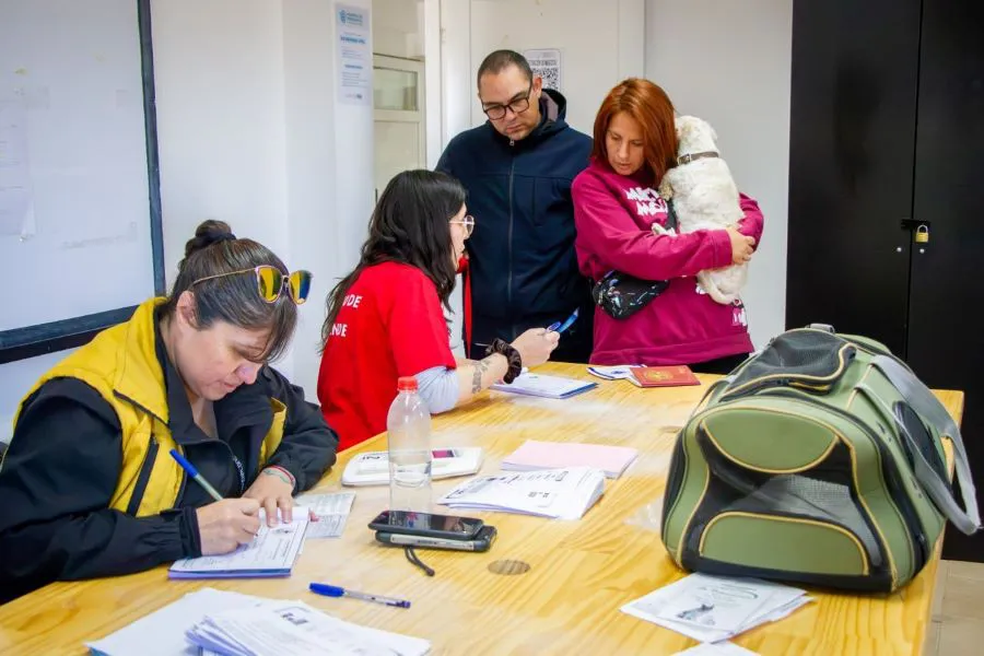 photo_4911403774698523593_y