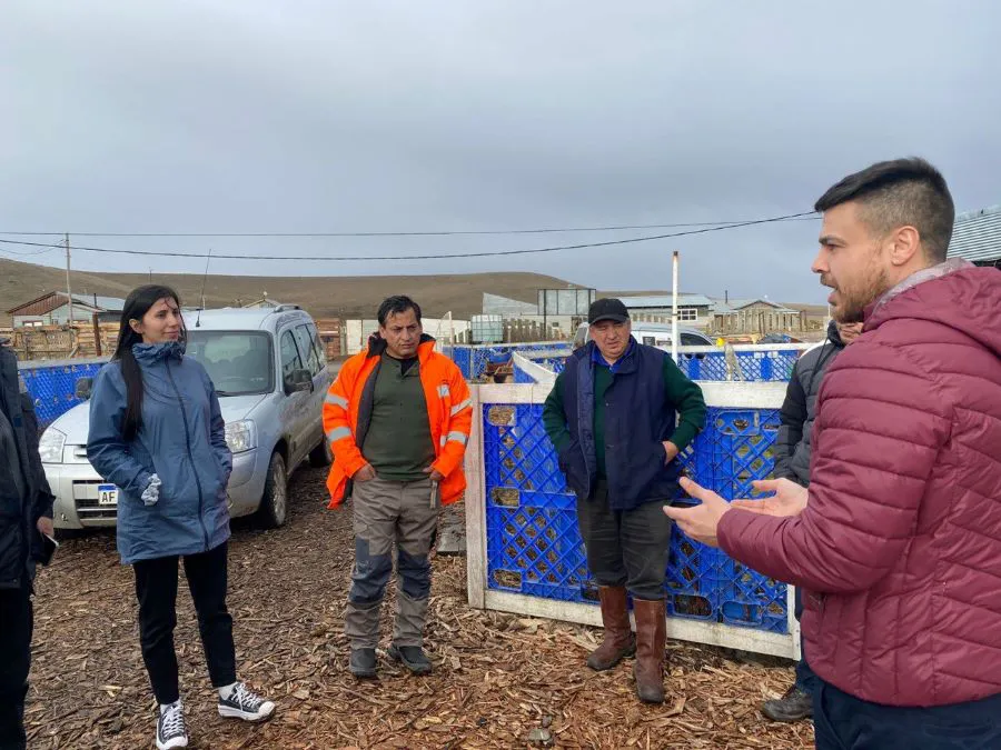 photo_5010784967122333519_y