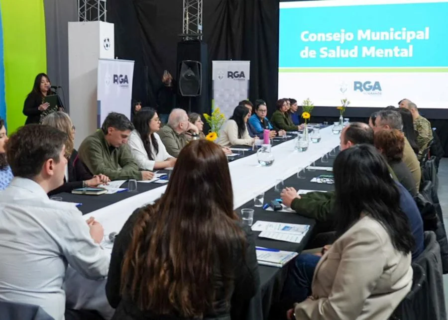 Se puso en marcha en Río Grande el Consejo Municipal de Salud Mental
