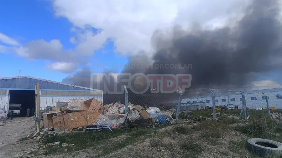 WhatsApp Image 2024-12-04 at 11.02.51