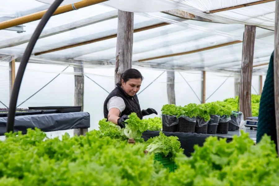 photo_4985746364352367451_y