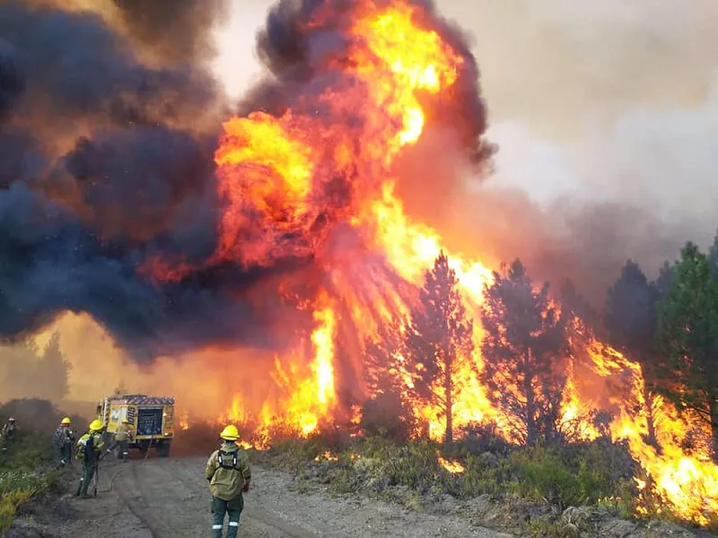 el-bolson-incendio-1