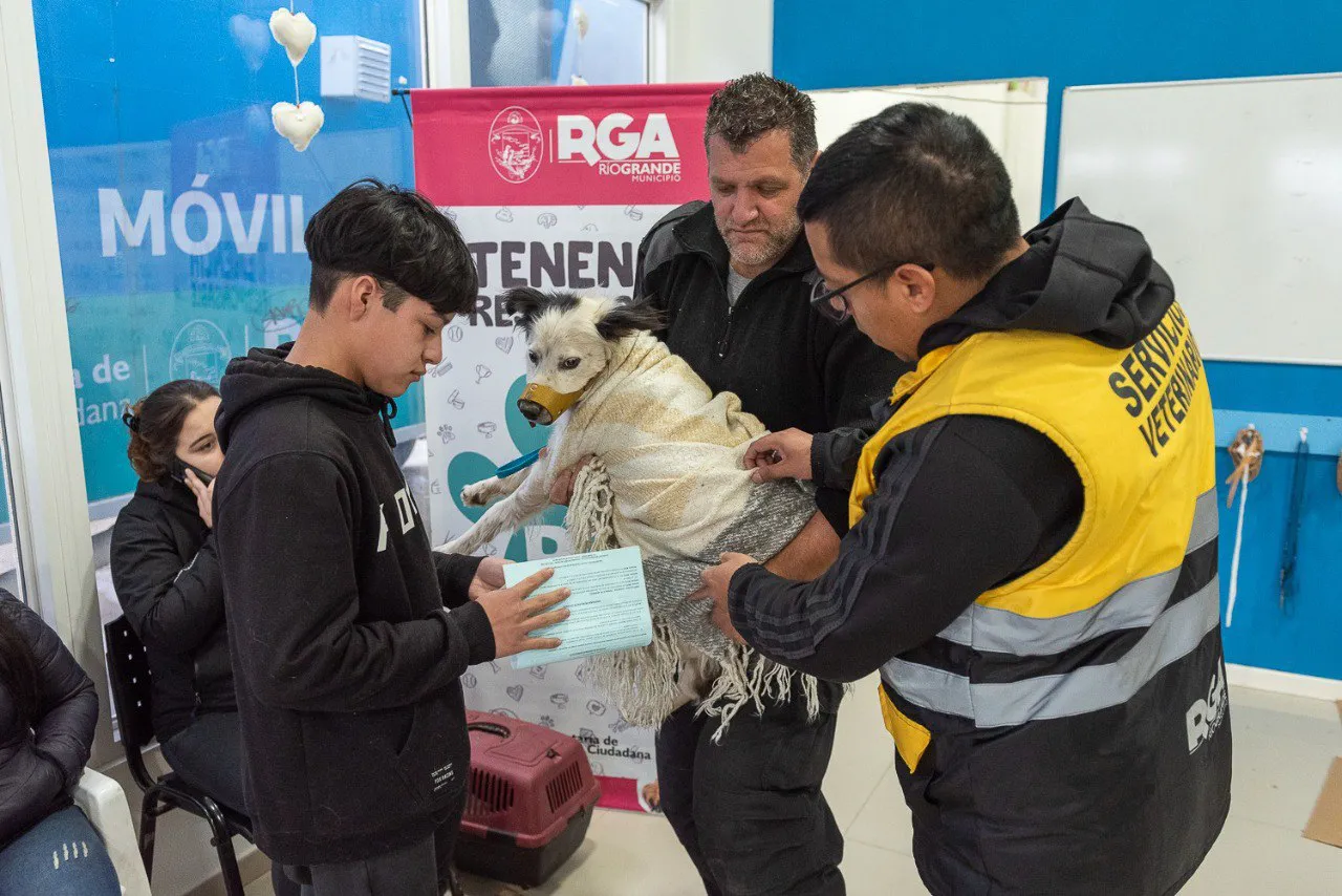 Este viernes habrá una nueva jornada de vacunación antirrábica y chipeo en Río Grande