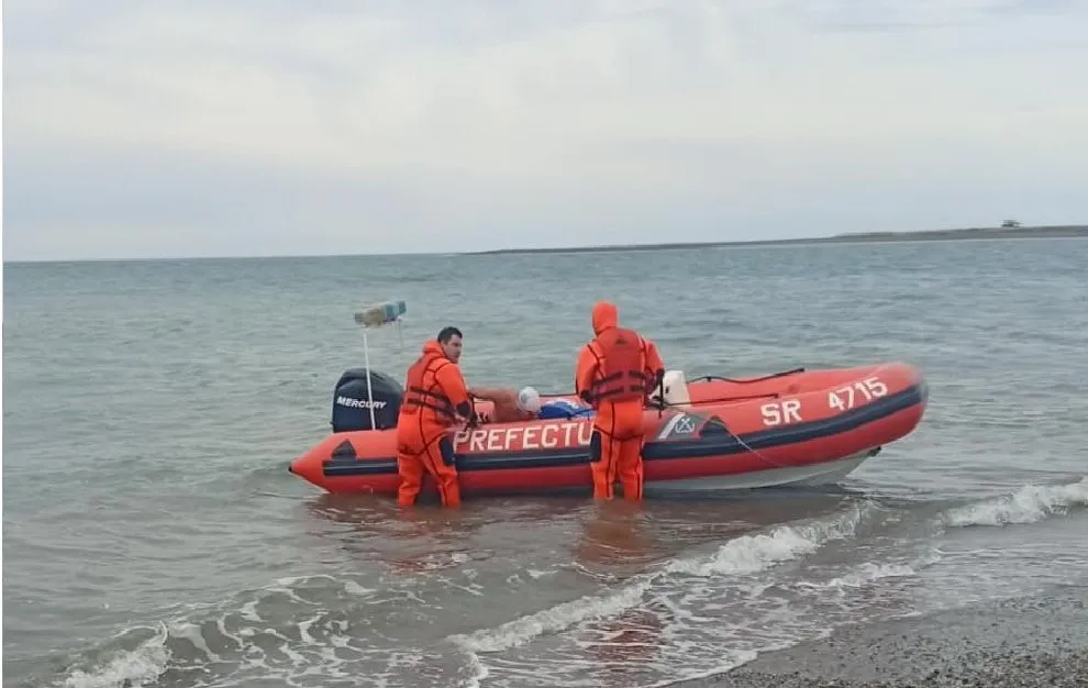 WhatsApp Image 2026-01-08 at 15.27.27