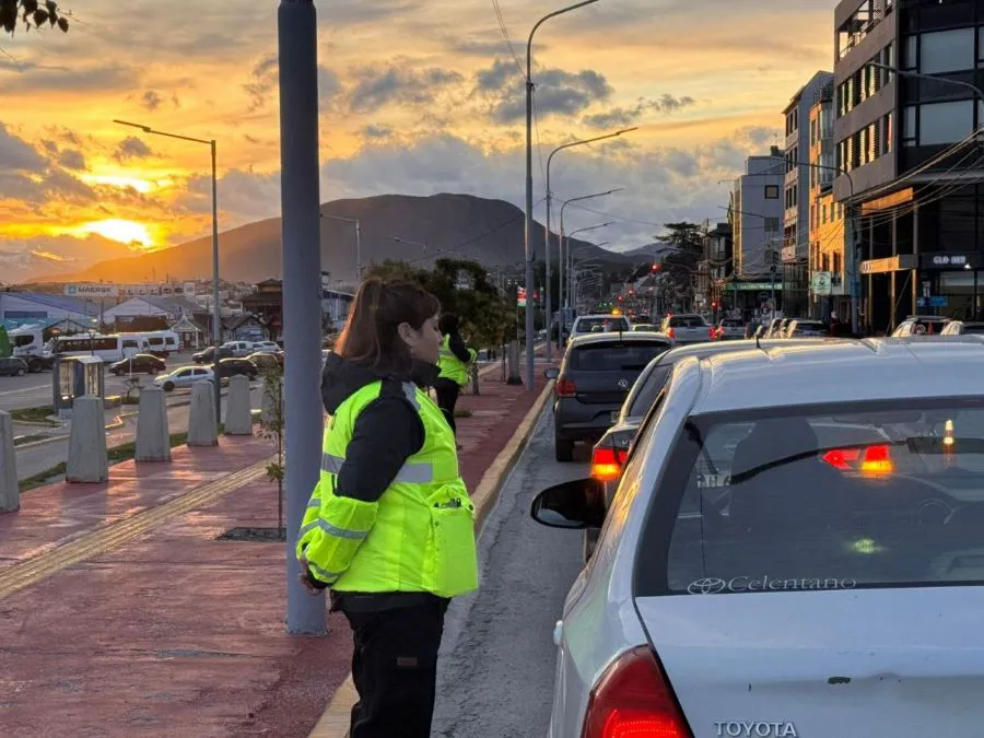 photo_5012804555237952406_y