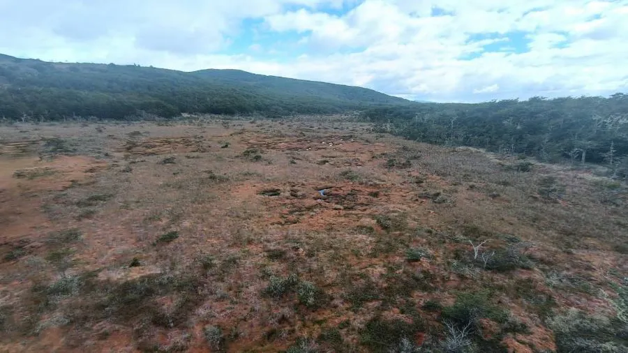 photo_4996913515541409358_y