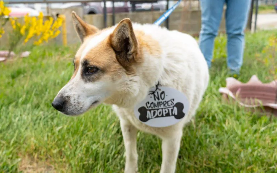 photo_5044240945590766446_y