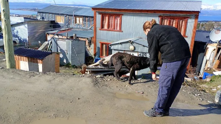 photo_5118755355411286834_y