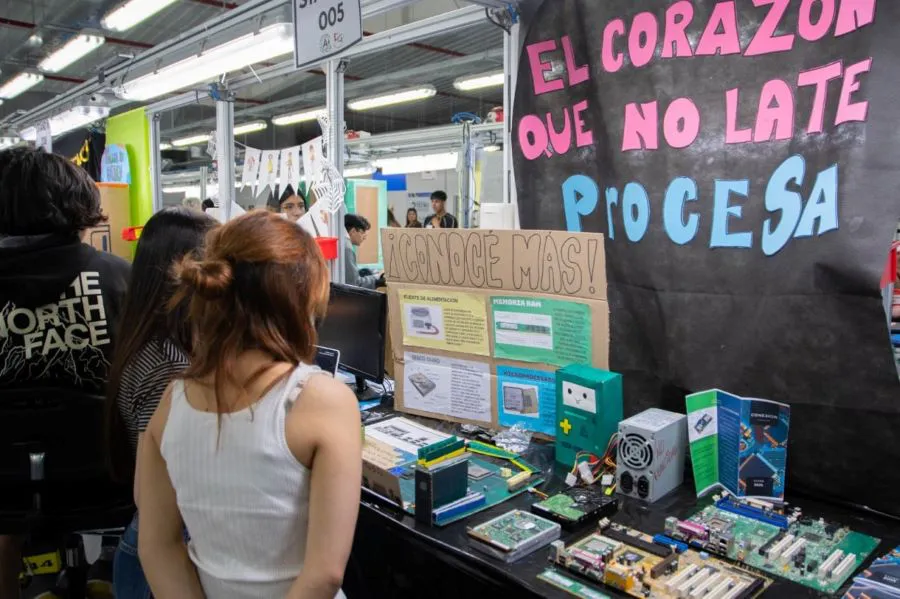 photo_4990338698004073256_y