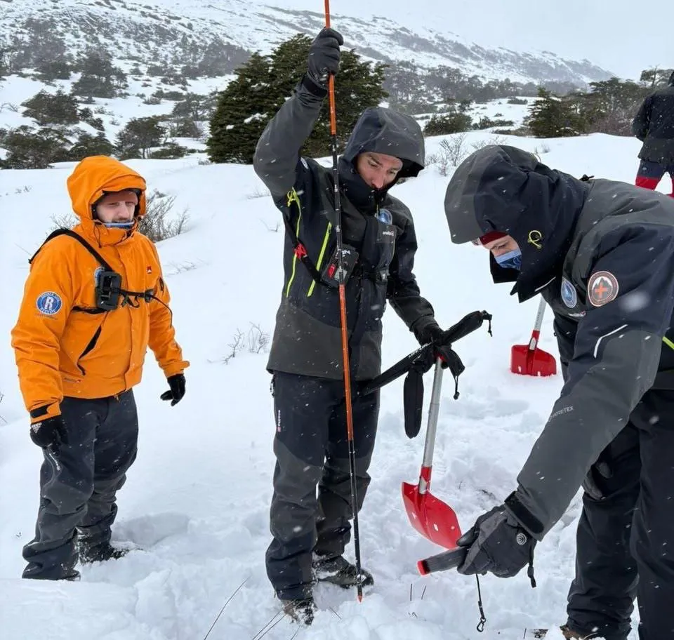 photo_4929384440531103751_y