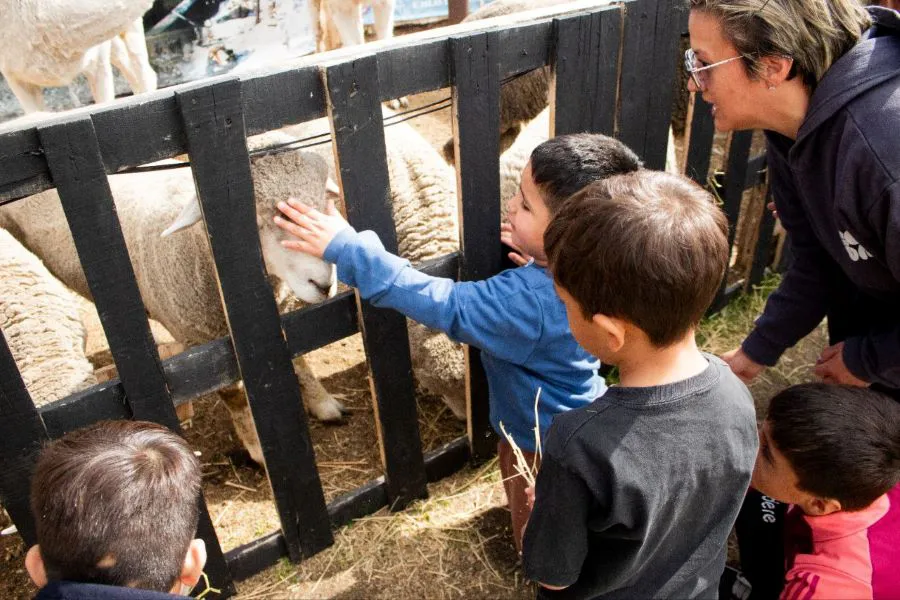 photo_4942991137446759273_y